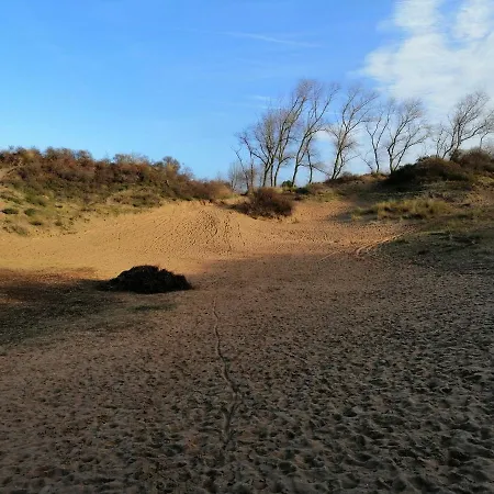 Zonnig * Nieuwpoort