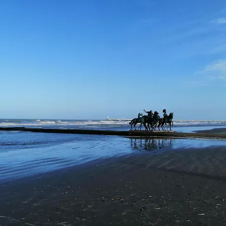 Zonnig * Nieuwpoort